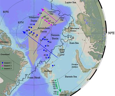 Dissolved Fe in the Deep and Upper Arctic Ocean With a Focus on Fe Limitation in the Nansen Basin